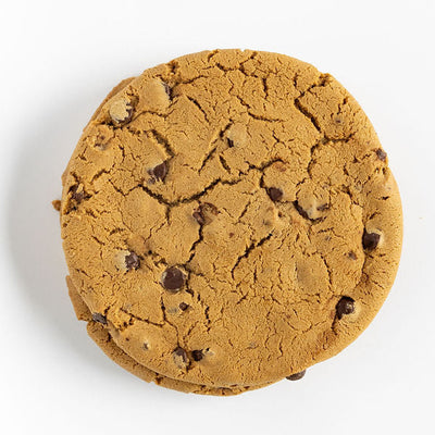 Chocolate Chip