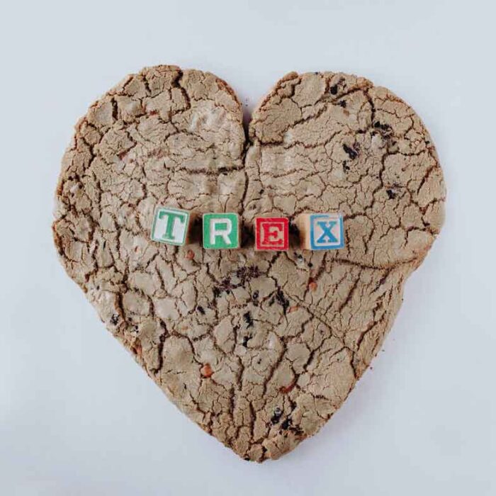 5 Pound T-Rex Cookie Heart