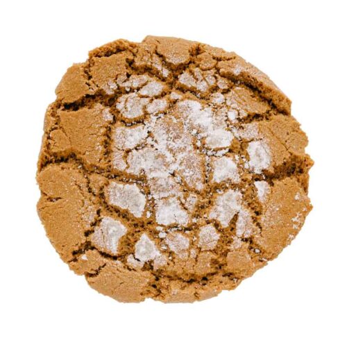 Peanut Butter T-Rex Cookie
