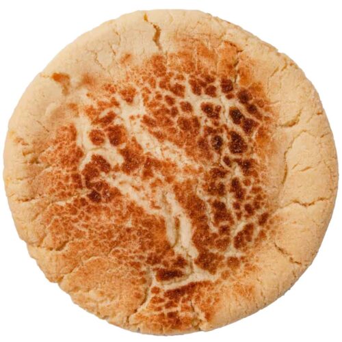The best snickerdoodle cookie T-rex Cookies