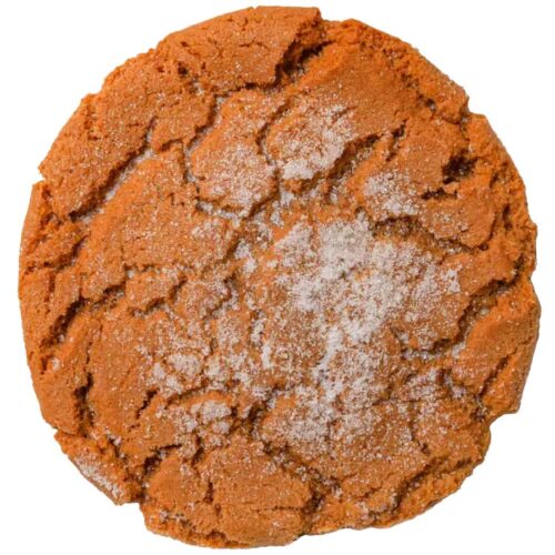 The best peanut butter cookie T-rex cookies