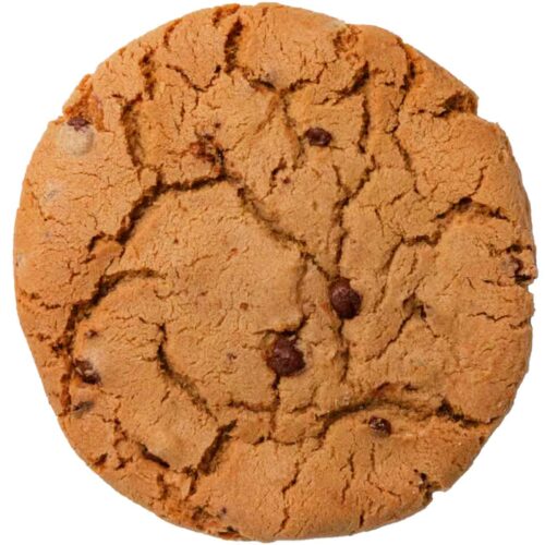 T-Rex Cookie chocolate chip Cookie