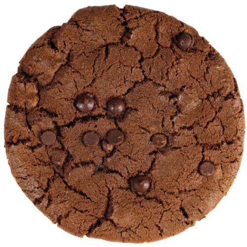 Chocolate Chocolate cookie