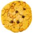 The best monster cookie trex cookies