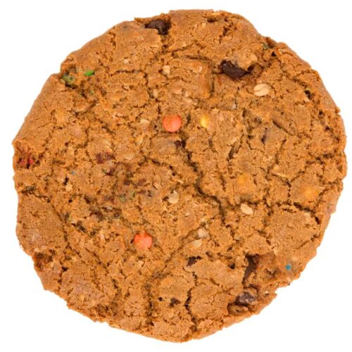 T-Rex Cookie MONSTER Cookie
