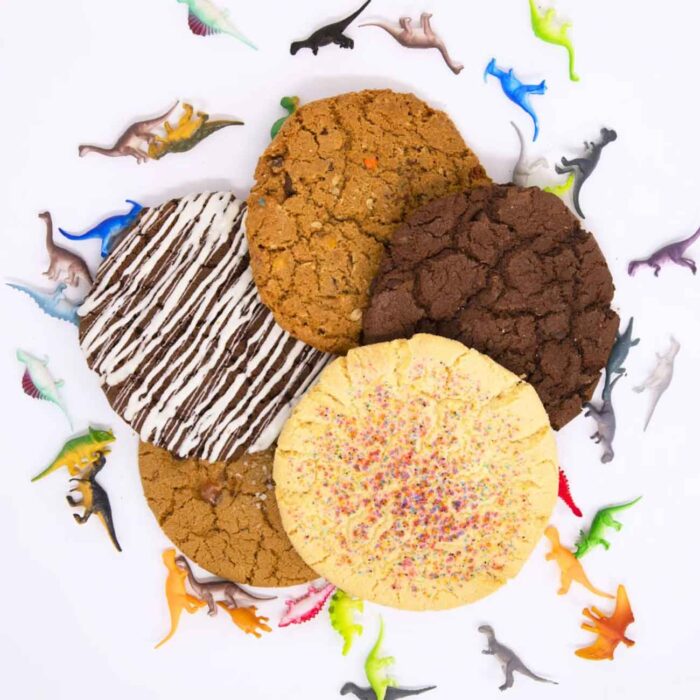 5 Pack Random Cookies T-Rex Cookies