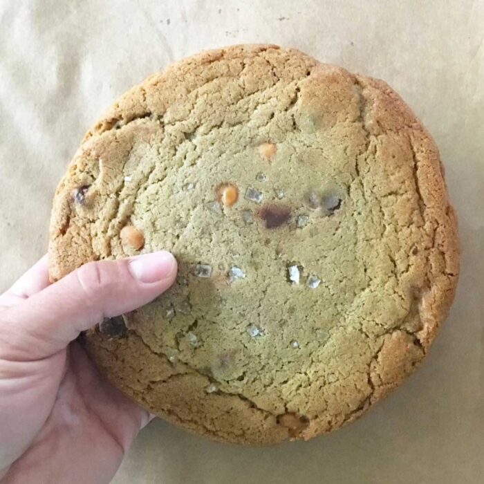 Trex Surprise Cookie Pack